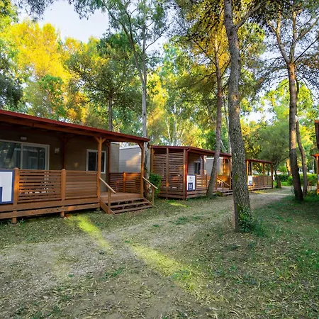 Small Camp Kr Vip Full Service Kemp