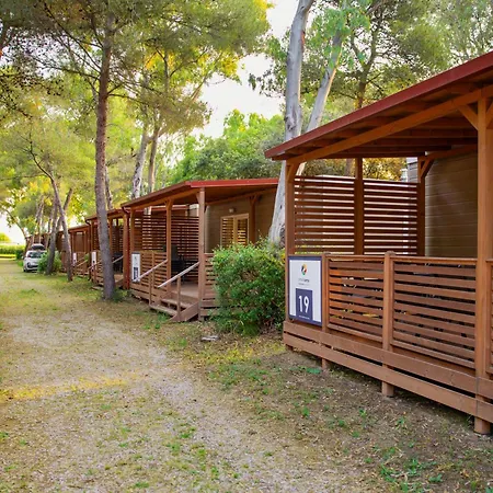 Kemp Small Camp Kr Vip Full Service