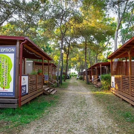 Small Camp Kr Vip Full Service *