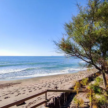 Small Camp Kr Vip Full Service 바이아도미찌아