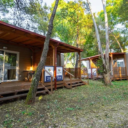 Small Camp Kr Vip Full Service 바이아도미찌아